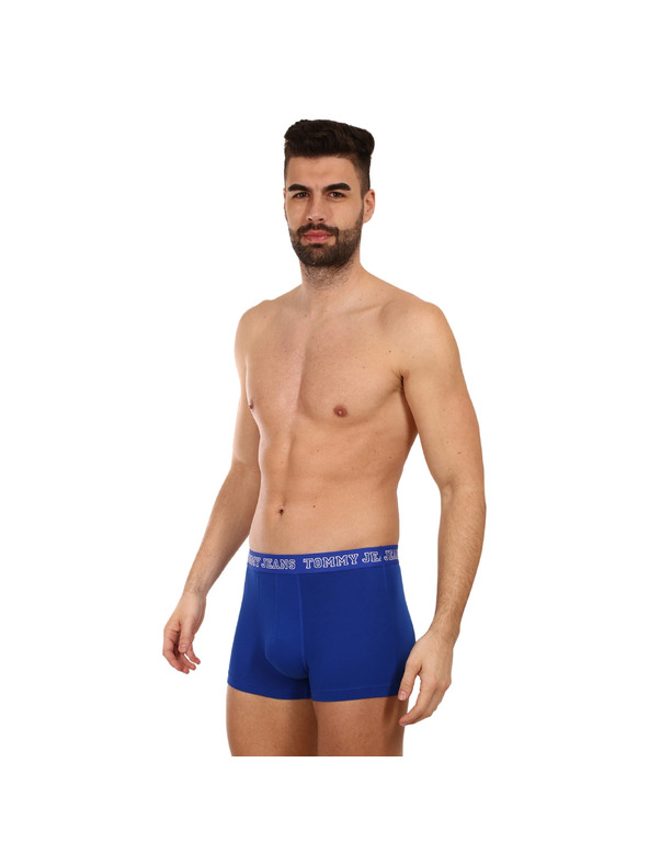 Tommy Hilfiger Sada tří - pánské boxerky Tommy Hilfiger vícebarevné