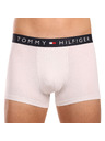 Tommy Hilfiger Sada tří - pánské boxerky Tommy Hilfiger vícebarevné
