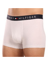 Tommy Hilfiger Sada tří - pánské boxerky Tommy Hilfiger vícebarevné
