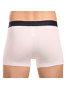 Tommy Hilfiger Sada tří - pánské boxerky Tommy Hilfiger vícebarevné