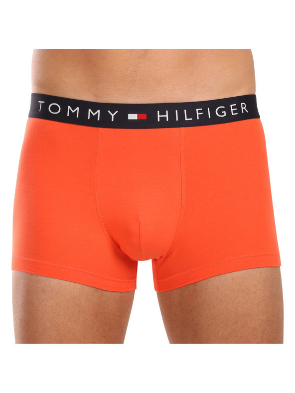 Tommy Hilfiger Sada tří - pánské boxerky Tommy Hilfiger vícebarevné