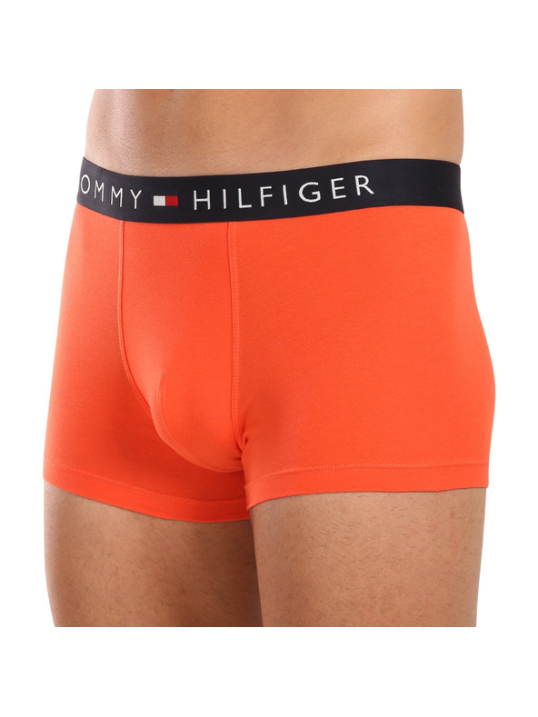 Tommy Hilfiger Sada tří - pánské boxerky Tommy Hilfiger vícebarevné