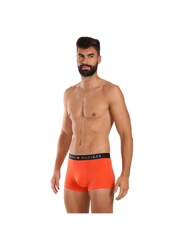 Tommy Hilfiger Sada tří - pánské boxerky Tommy Hilfiger vícebarevné