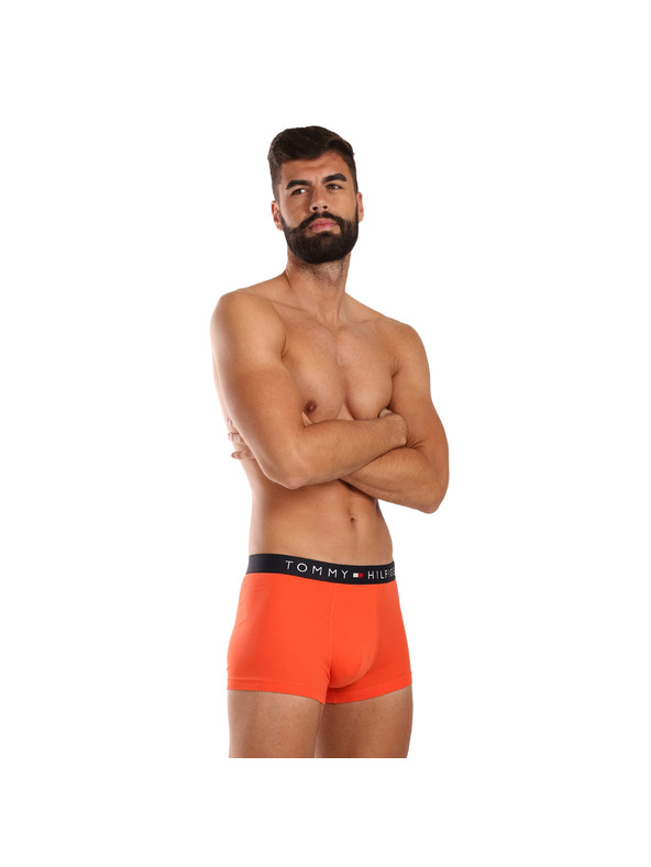 Tommy Hilfiger Sada tří - pánské boxerky Tommy Hilfiger vícebarevné