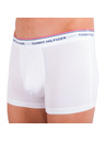 Tommy Hilfiger Sada tří - pánské boxerky Tommy Hilfiger vícebarevné nadrozměr