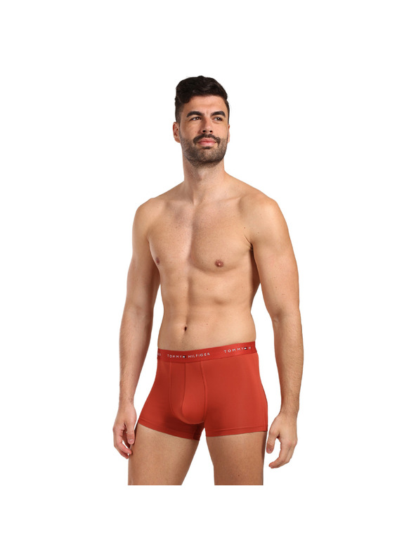 Tommy Hilfiger Sada tří - pánské boxerky Tommy Hilfiger vícebarevné