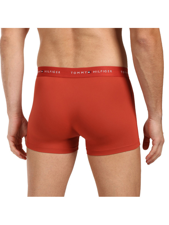 Tommy Hilfiger Sada tří - pánské boxerky Tommy Hilfiger vícebarevné