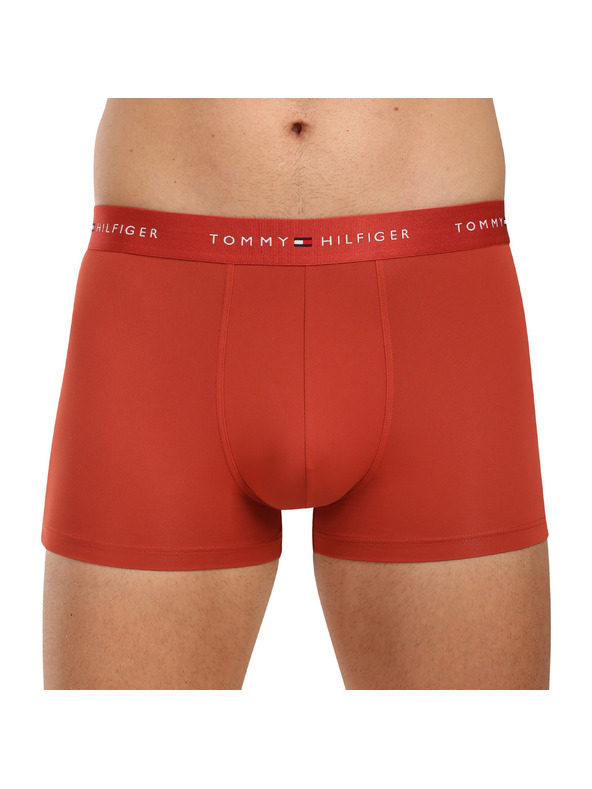 Tommy Hilfiger Sada tří - pánské boxerky Tommy Hilfiger vícebarevné