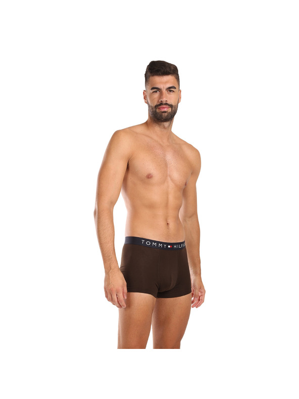 Tommy Hilfiger Sada tří - pánské boxerky Tommy Hilfiger vícebarevné