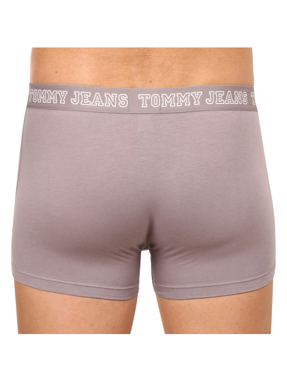 Tommy Hilfiger Sada tří - pánské boxerky Tommy Hilfiger vícebarevné
