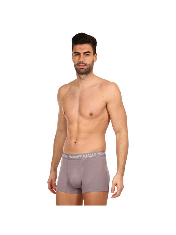 Tommy Hilfiger Sada tří - pánské boxerky Tommy Hilfiger vícebarevné