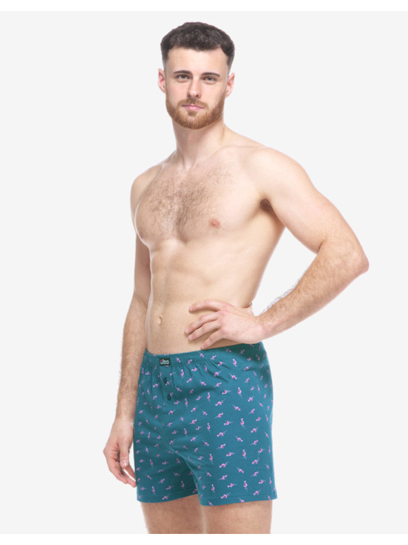 gino Pánské trenky Gino zelené