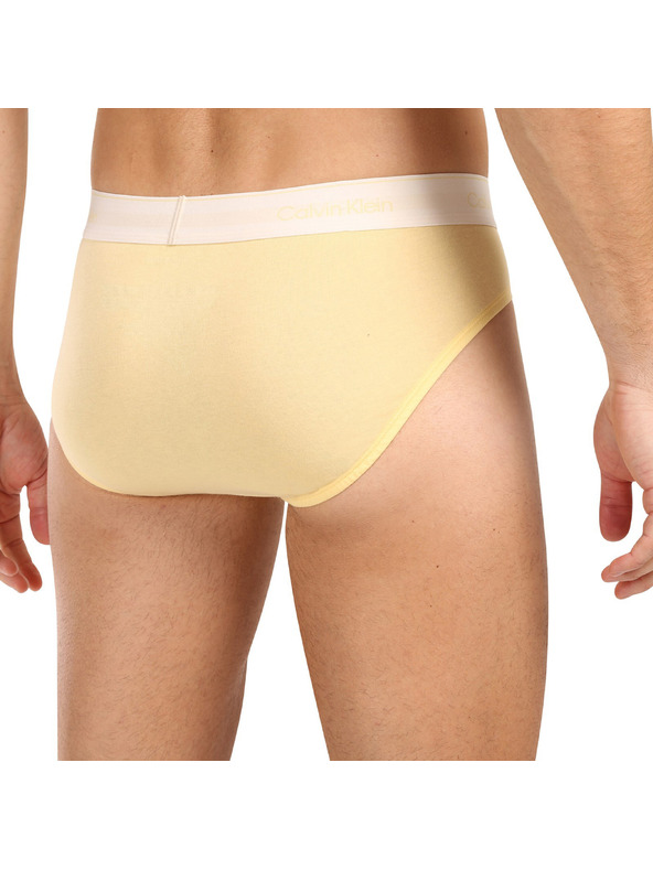 Calvin Klein Sada pěti - pánské slipy Calvin Klein vícebarevné