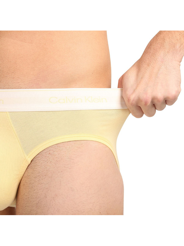 Calvin Klein Sada pěti - pánské slipy Calvin Klein vícebarevné