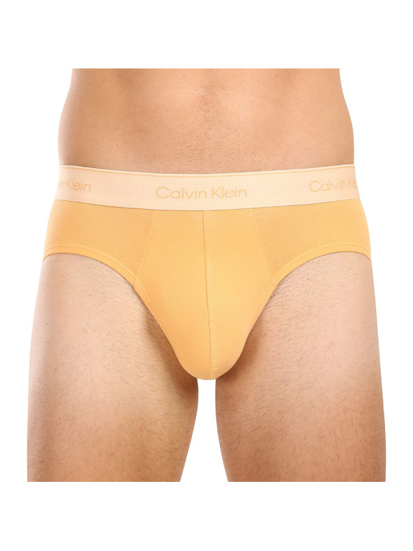 Calvin Klein Sada pěti - pánské slipy Calvin Klein vícebarevné