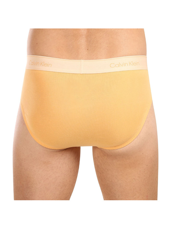 Calvin Klein Sada pěti - pánské slipy Calvin Klein vícebarevné