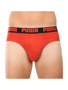 Puma Sada dvou - pánské slipy Puma vícebarevné