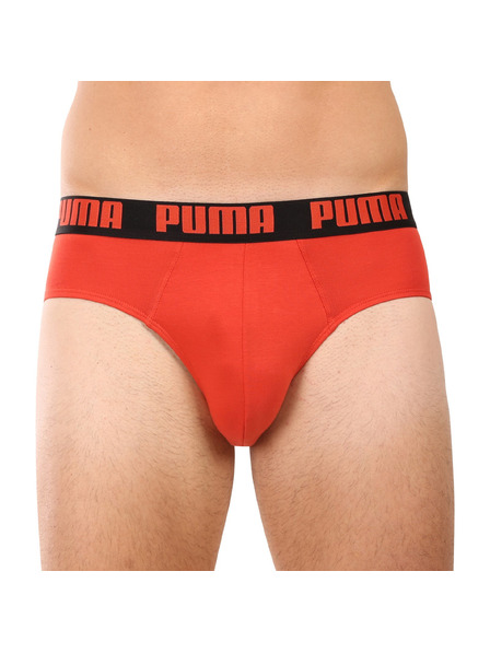 Puma Sada dvou - pánské slipy Puma vícebarevné