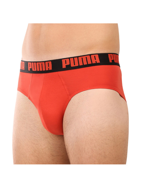 Puma Sada dvou - pánské slipy Puma vícebarevné