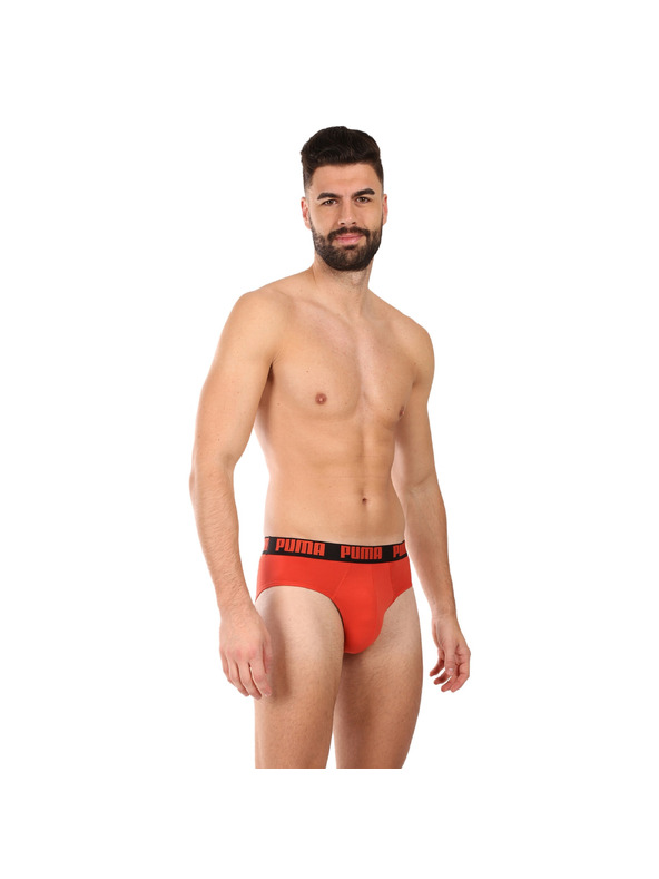 Puma Sada dvou - pánské slipy Puma vícebarevné