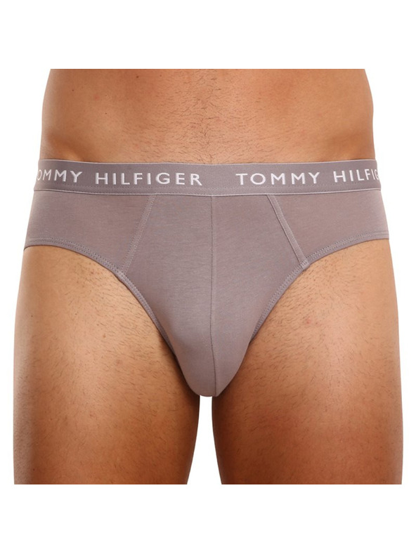 Tommy Hilfiger Sada tří - pánské slipy Tommy Hilfiger vícebarevné