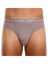 Tommy Hilfiger Sada tří - pánské slipy Tommy Hilfiger vícebarevné