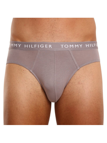 Tommy Hilfiger Sada tří - pánské slipy Tommy Hilfiger vícebarevné