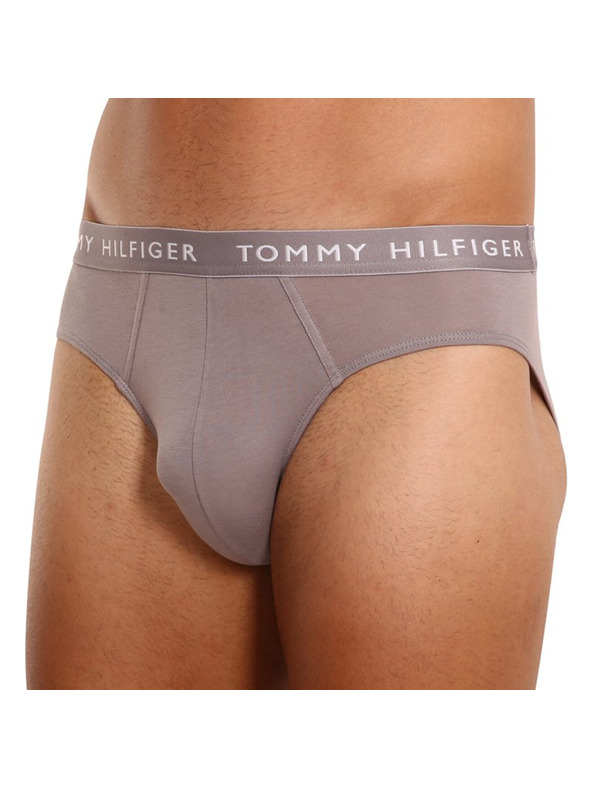 Tommy Hilfiger Sada tří - pánské slipy Tommy Hilfiger vícebarevné