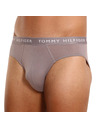 Tommy Hilfiger Sada tří - pánské slipy Tommy Hilfiger vícebarevné