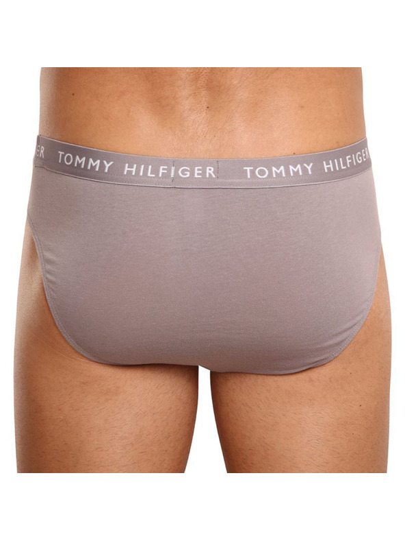 Tommy Hilfiger Sada tří - pánské slipy Tommy Hilfiger vícebarevné