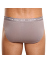 Tommy Hilfiger Sada tří - pánské slipy Tommy Hilfiger vícebarevné