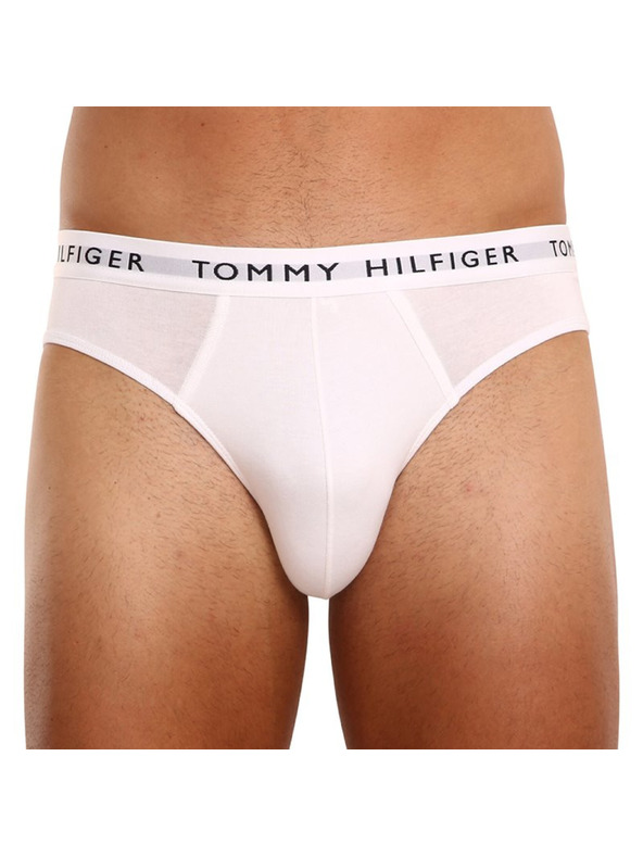 Tommy Hilfiger Sada tří - pánské slipy Tommy Hilfiger vícebarevné