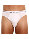 Tommy Hilfiger Sada tří - pánské slipy Tommy Hilfiger vícebarevné
