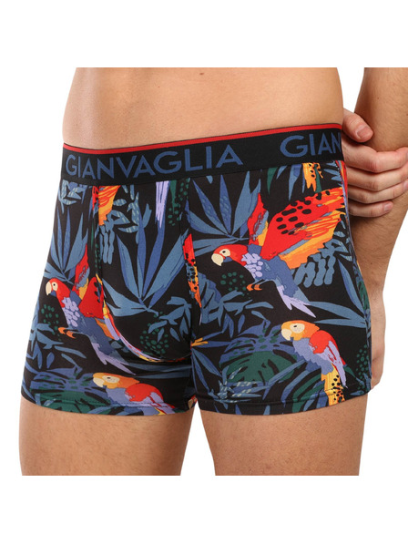 Gianvaglia Sada pěti - pánské boxerky Gianvaglia vícebarevné