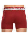 Gianvaglia Sada pěti - pánské boxerky Gianvaglia vícebarevné