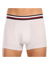 Tommy Hilfiger Sada tří - pánské boxerky Tommy Hilfiger vícebarevné