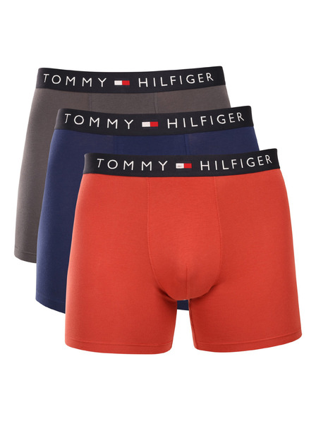 Tommy Hilfiger Sada tří - pánské boxerky Tommy Hilfiger vícebarevné