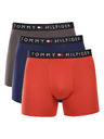 Tommy Hilfiger Sada tří - pánské boxerky Tommy Hilfiger vícebarevné