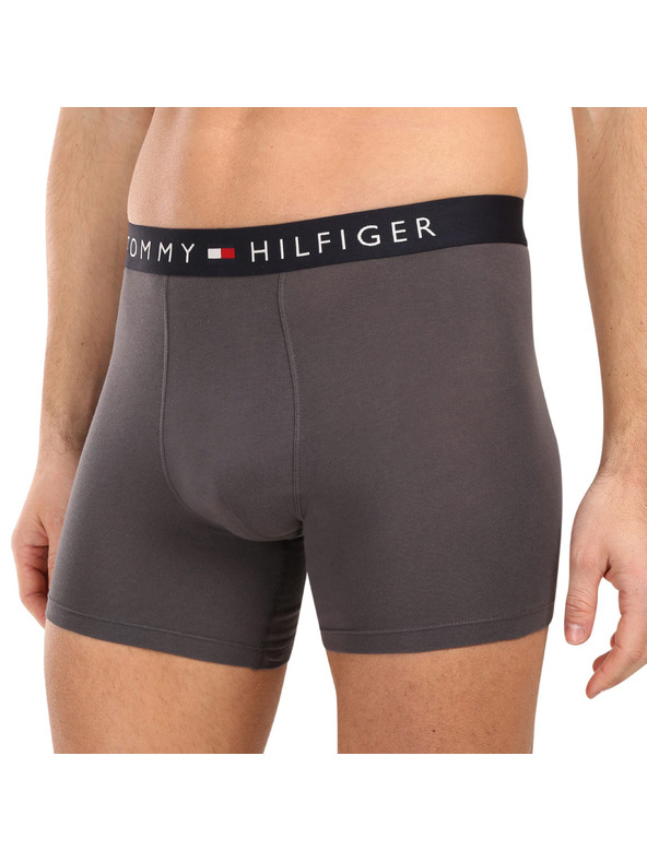 Tommy Hilfiger Sada tří - pánské boxerky Tommy Hilfiger vícebarevné