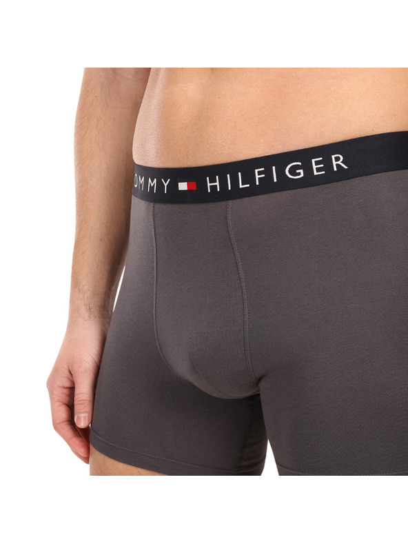 Tommy Hilfiger Sada tří - pánské boxerky Tommy Hilfiger vícebarevné