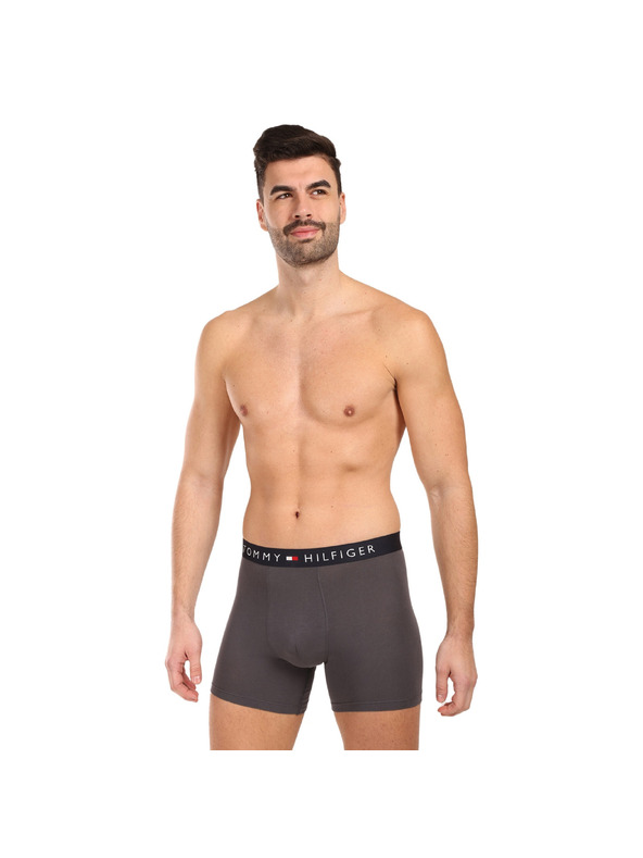 Tommy Hilfiger Sada tří - pánské boxerky Tommy Hilfiger vícebarevné