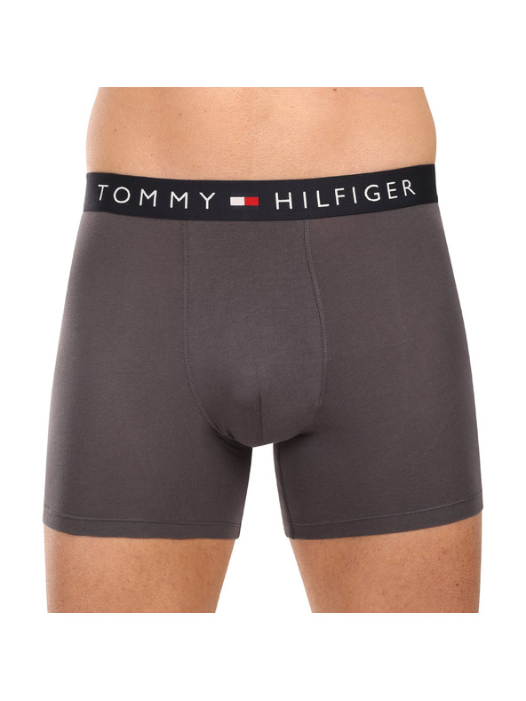 Tommy Hilfiger Sada tří - pánské boxerky Tommy Hilfiger vícebarevné