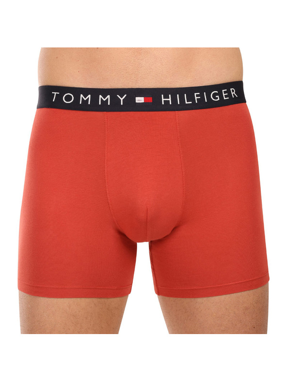 Tommy Hilfiger Sada tří - pánské boxerky Tommy Hilfiger vícebarevné