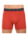 Tommy Hilfiger Sada tří - pánské boxerky Tommy Hilfiger vícebarevné