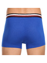 Tommy Hilfiger Sada tří - pánské boxerky Tommy Hilfiger vícebarevné