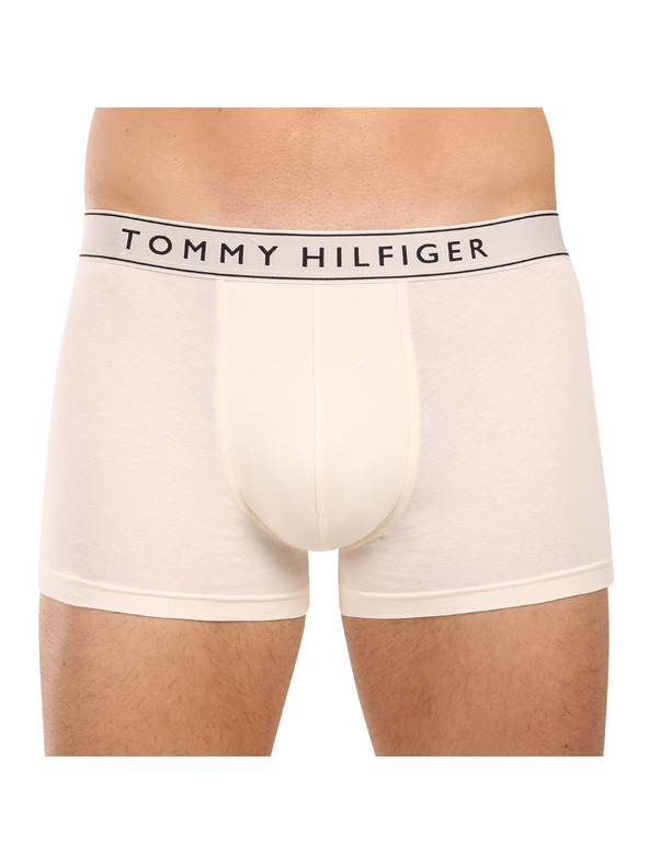 Tommy Hilfiger Sada tří - pánské boxerky Tommy Hilfiger vícebarevné