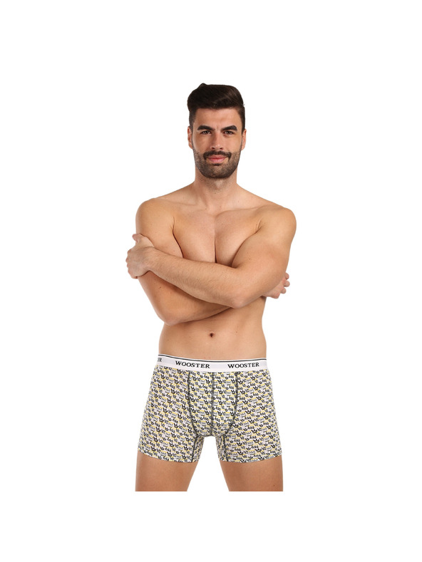 Wooster Sada tří - pánské boxerky Wooster vícebarevné