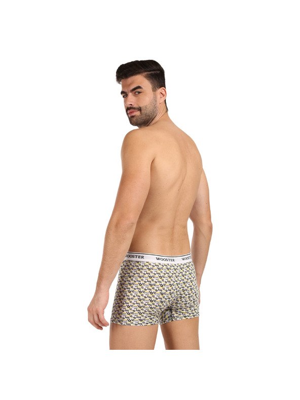 Wooster Sada tří - pánské boxerky Wooster vícebarevné