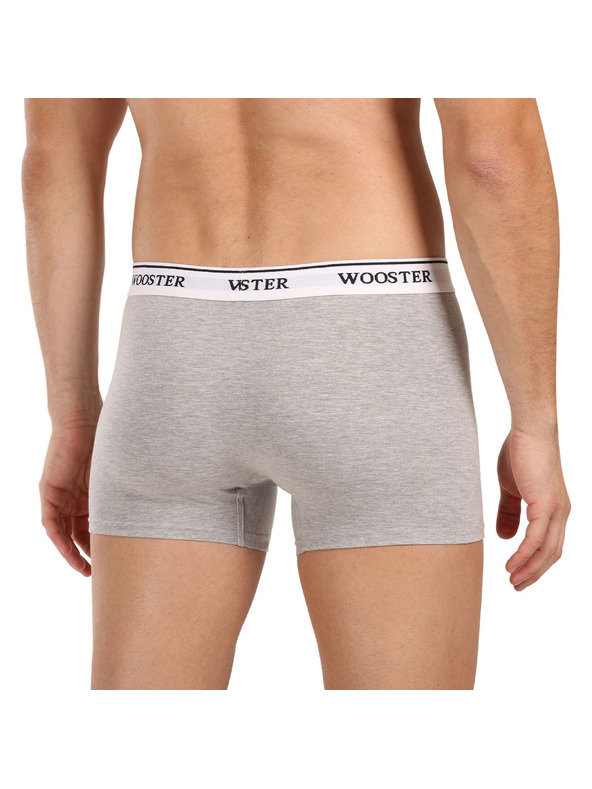 Wooster Sada tří - pánské boxerky Wooster šedé