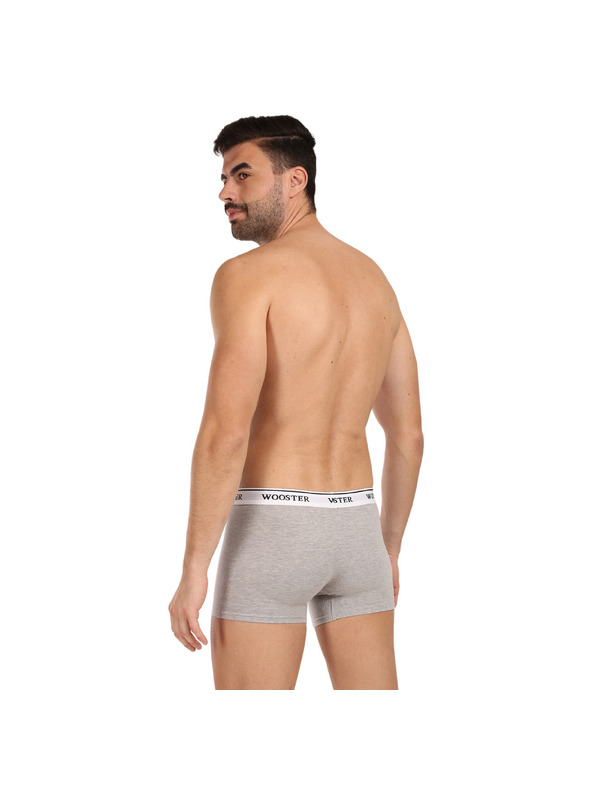Wooster Sada tří - pánské boxerky Wooster šedé
